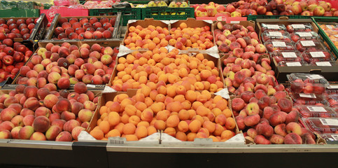 abricots / pêches