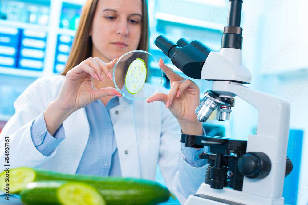 Wall mural checking food cucumber on the content herbicides and pesticides