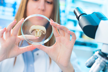 checking food on the content herbicides and pesticides