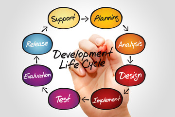 Flow chart of life cycle development process, business concept