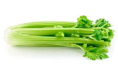 Celery isolated on white background