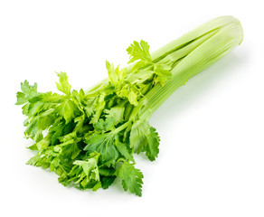 Fresh green celery isolated on white