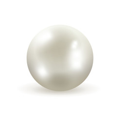 White pearl vector illustration - obrazy, fototapety, plakaty