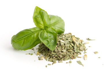 Basilikum frisch und gefriergetrocknet