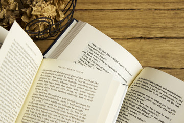 Naklejka premium 英語の本