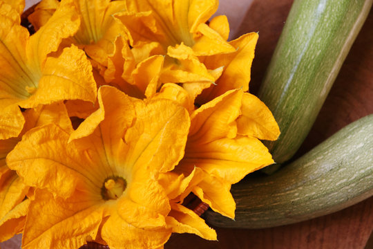 Fiori di zucca appena colti