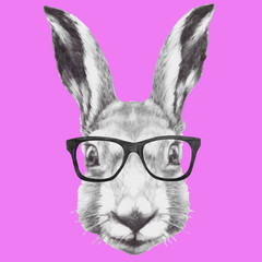 Hand drawn portrait of rabbit with glasses. Vector isolated elements.