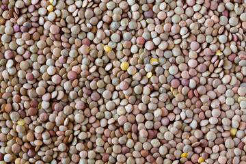 Cooking lentils spilled on the table as a background.