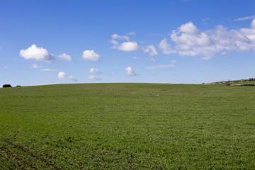 Fototapeta na wymiar Modica, IT, January 15, 2015: Sicilian countryside typical landscape. The landscape is very similar to a famous windows xp wallpaper.
