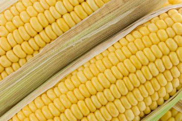 corn