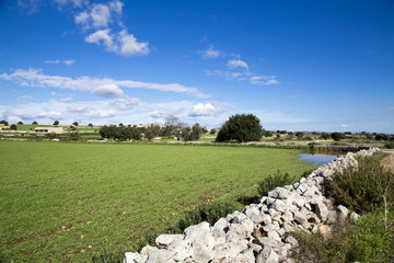 Modica, IT, January 15, 2015: Sicilian countryside typical landscape. The landscape is very similar...