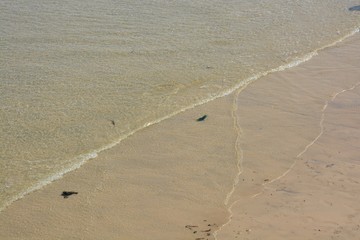 Sea water on sandy beach in Cornwall, England