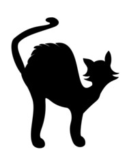 Czarny kot © Oliwia