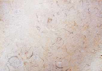 Rustic Stone Texture