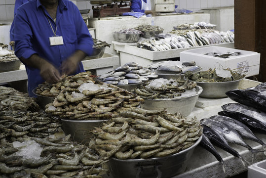Fish Market in Sharjah, UAE
