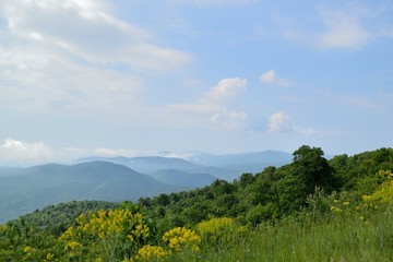 Shenandoah Mountains