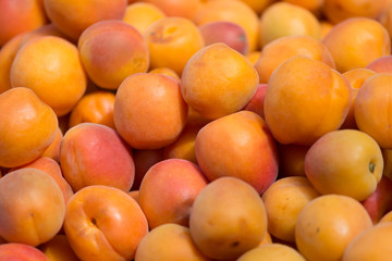Background from a set of ripe apricots