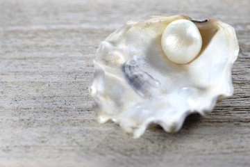 Auster mit Perle auf Holztisch