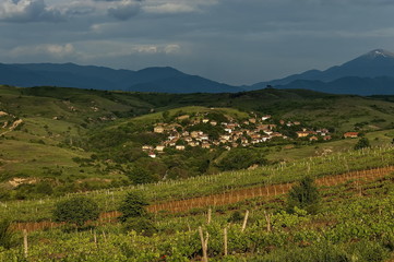 Village in the wine making region of Melnik,  Bulgaria, Europe