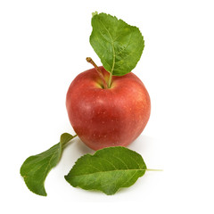 ripe apple on a white background