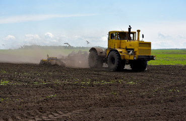 Tractor plowing a field