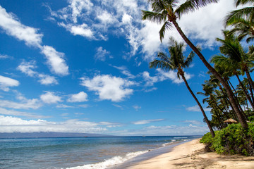 Traumstrand mit Palmen auf Hawaii, Maui