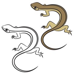 Illustration of little lizard. Coloring book. Vector
