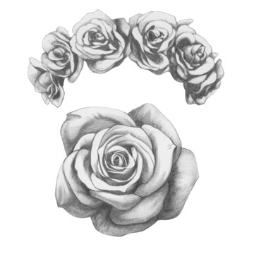 Fototapeta Original drawing of Ram with roses. Isolated on white background