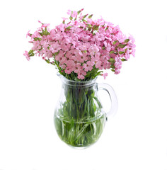 Bunch of pink field flowers
