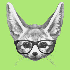 Hand drawn portrait of Fennec Fox with glasses. Vector isolated elements.
