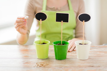 close up of woman over pots with soil and signs