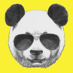 Fototapety  Ręcznie rysowane portret Panda z okularami przeciwsłonecznymi. Pojedyncze elementy wektorów.