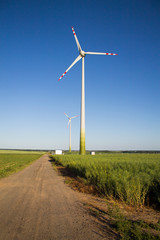 Fototapeta premium Windmills for renewable electric energy production