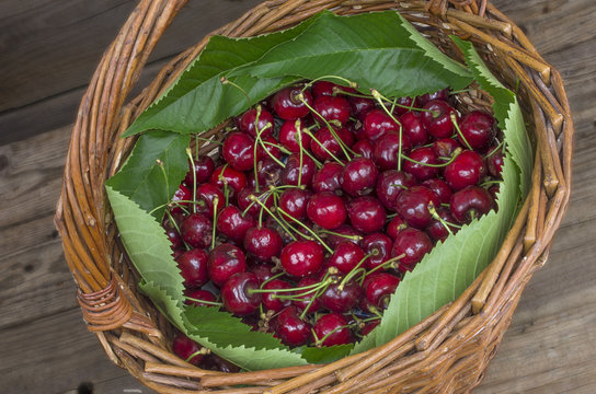 Basket of ripe cherries on a wooden table