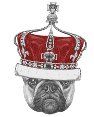 Original drawing of French Bulldog with crown. Isolated on white background