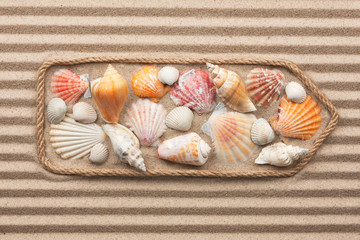 Pointer made of rope with sea shells