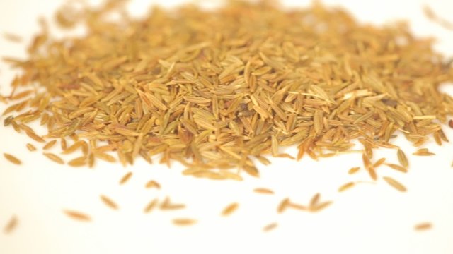 Slider dolly view of zira spice in shallow focus on a white plate