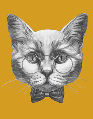 Original drawing of Cat with glasses and bow tie. Isolated on colored background