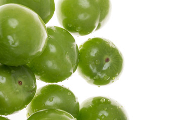 green plums on white