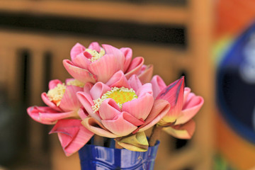 Lotus flowers