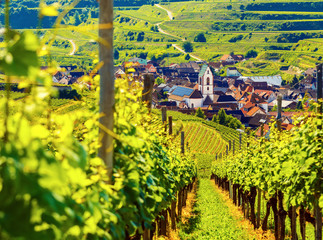Beautiful scenic mountain landscape with vineyards and old picturesque town in Germany, Black forest, Kaiserstuhl. 