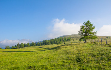 Fototapeta premium Hiking Up Mt. Stubeck Early In The Morning