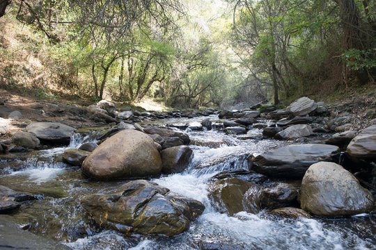 Rio Genil
