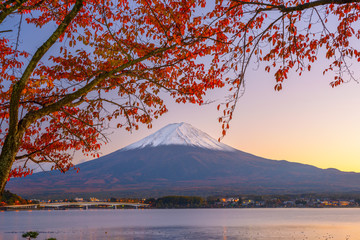 Mt. Fuji in Autumn