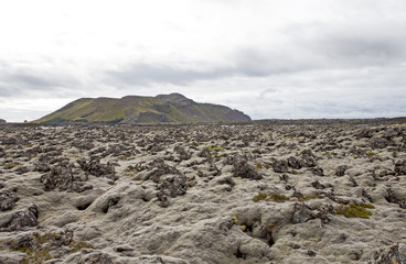 Typical volcanic lava landscape in Iceland