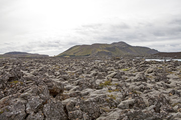 Typical volcanic lava landscape in Iceland