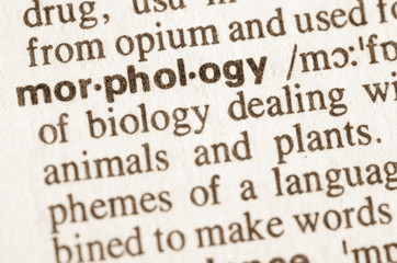 Dictionary definition of word morphology - obrazy, fototapety, plakaty