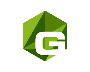 G Hexagon Geometric Letter Logo