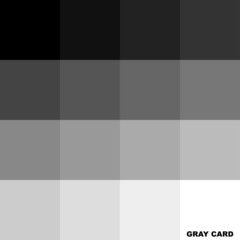 Gray card vector