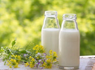 Bottle of milk in summer time